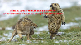 Байгаль орчны хяналт шинжилгээ буюу мониторингийн ажлыг хурдан шуурхай хийж гүйцэтгэнэ. Үнэ тохирно. Байгаль орчны хяналт шинжилгээ буюу мониторингийн ажлыг хурдан шуурхай хийж гүйцэтгэнэ. Үнэ тохирно.